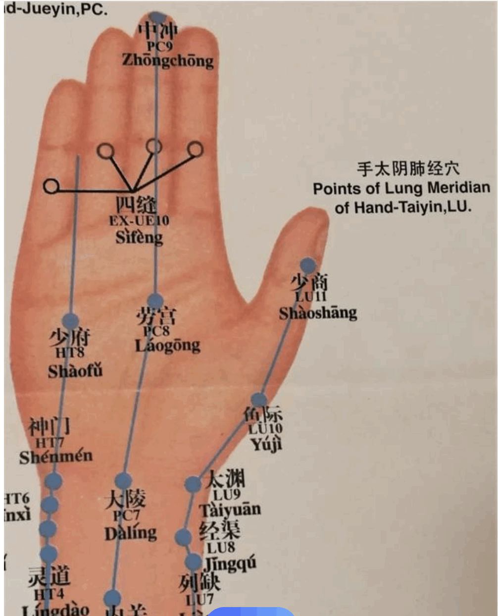 【穴位按摩】指掌间轻松实现健康养生  第1张